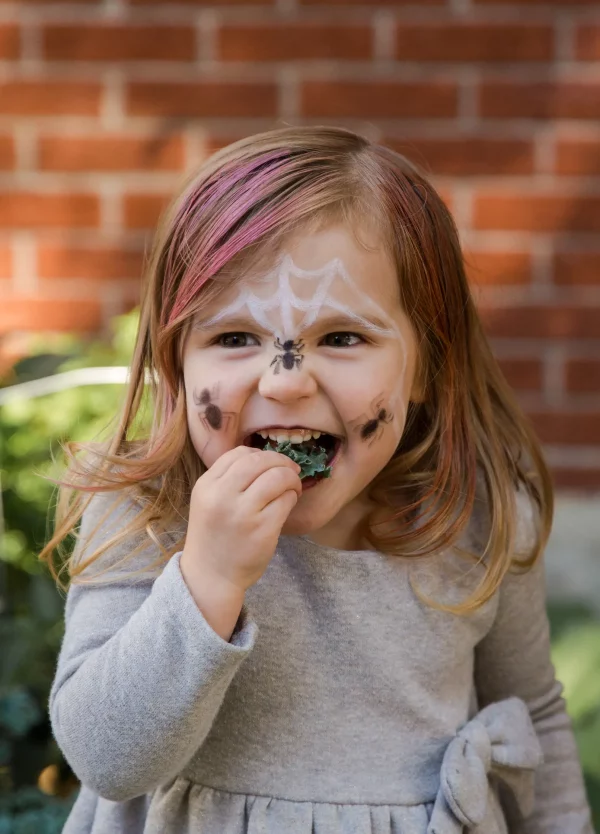 Paleta de pintura facial de 3 colores - diablo y araña de namaki - Imagen 4