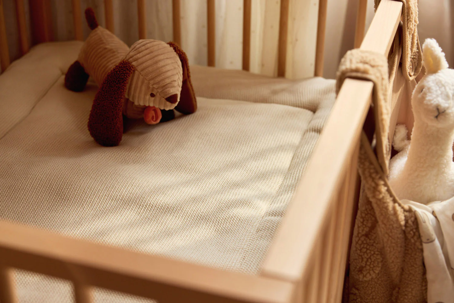 peluche Perrito salchicha Diego jollein - Imagen 5